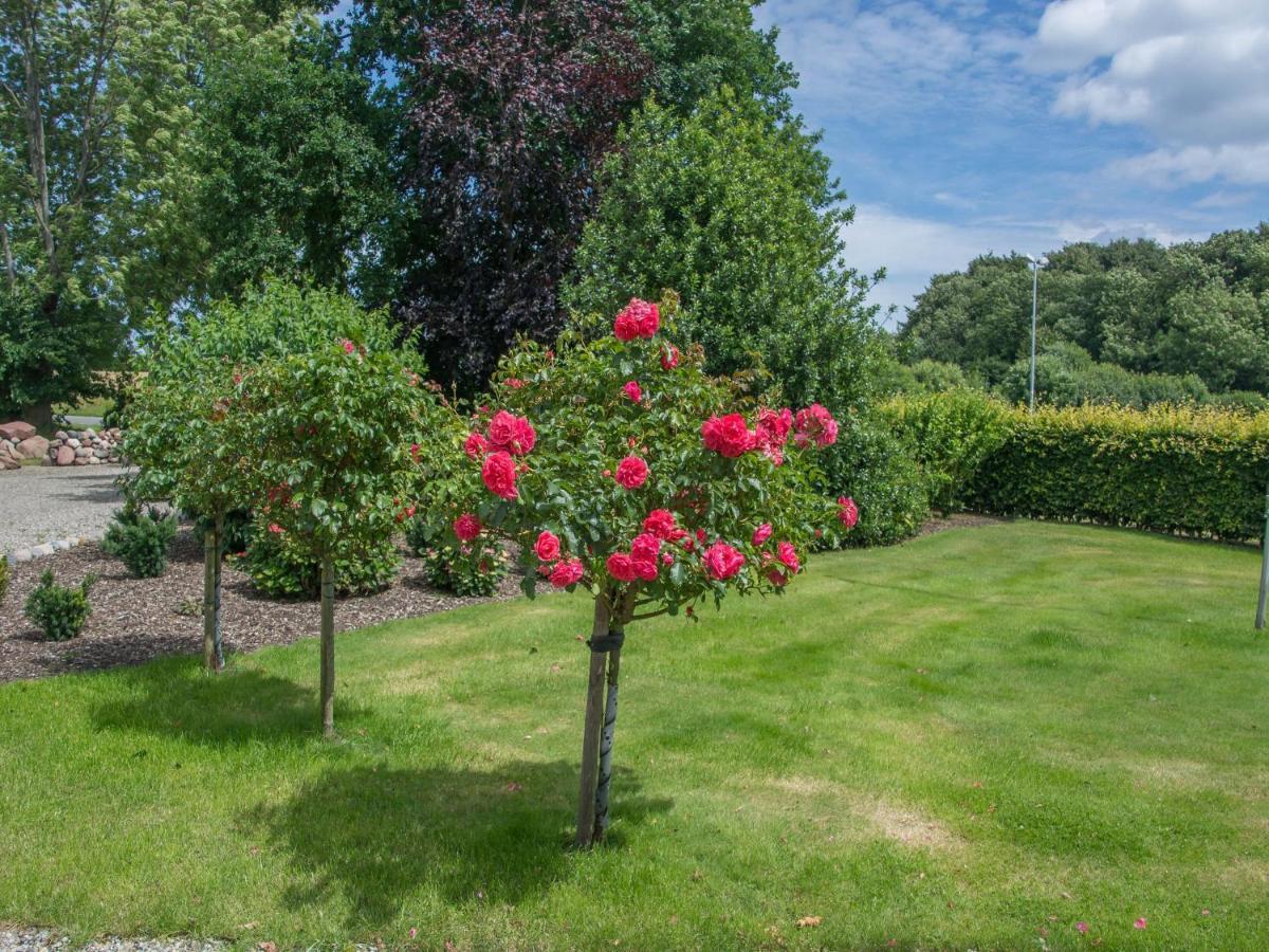 Ferienwohnung Landurlaub Regenholz Kronsgaard Exterior foto